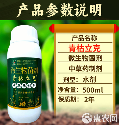 綠色防線 奧豐青枯立克如何重塑土壤健康與作物根系防御