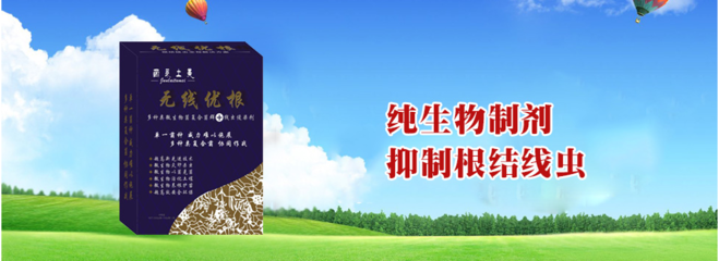 湖北省白芨的形態(tài)特征及其結(jié)合生物修復(fù)制劑的土壤修復(fù)方法